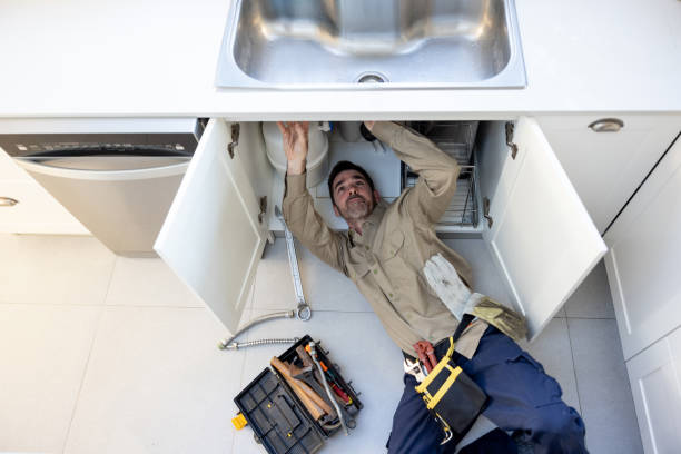 Best Toilet Repair Services  in Sylvania, AL