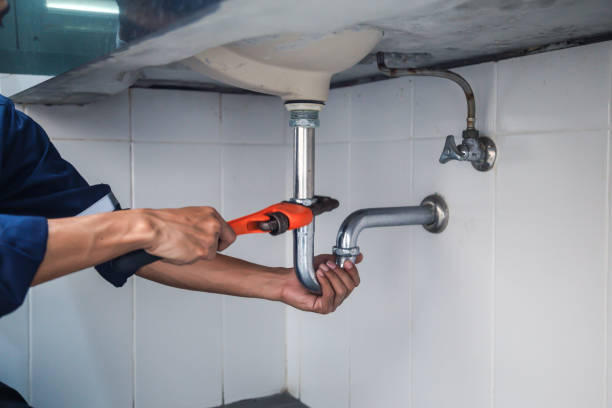 Best Plumbing Inspection Services  in Sylvania, AL